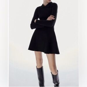 ZARA Mini Skater Dress